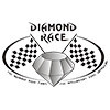 diamond race icon