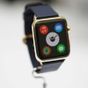 Apple Watch Edition icon