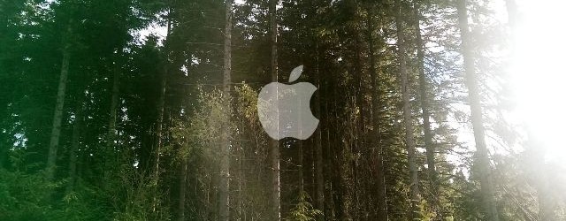 apple_wallpaper_forest_by_applewallpapers-d7r7qhb-640x250