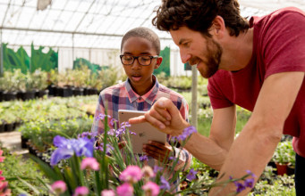Apple ztrácí procenta i na trhu iPadů – může za to kvalita