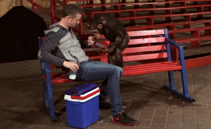 iPadový kouzelník dokáže svými triky uchvátit i opice