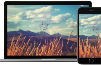 iTapety týdne: Polní tráva