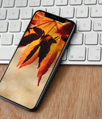 iTapety týdne – Podzimní pozadí pro iPhone a iPad
