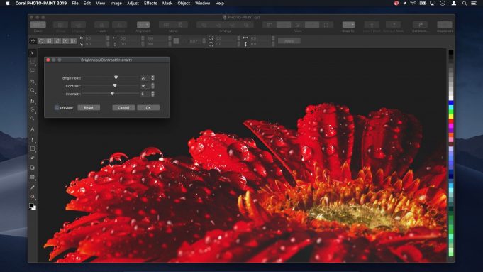 Corel dnes uvedl na trh zcela novou CorelDRAW Graphics Suite 2019 pro uživatele Mac