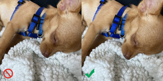 Rozdíly u fotografií z Deep Fushion jsou opravdu nepatrné