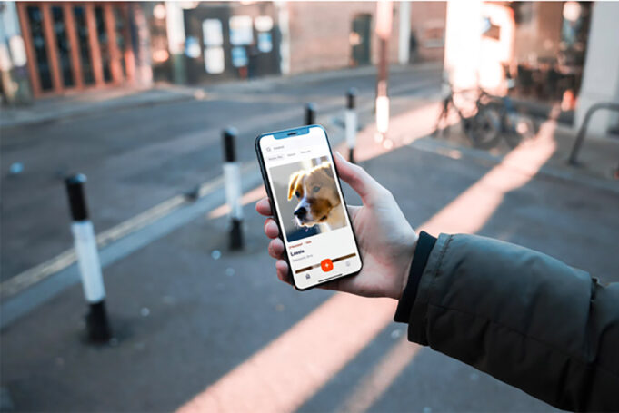 Vývoj mobilní aplikace Yaga – jak probíhala tvorba appky, která pomáhá svým majitelům najít ztracené mazlíčky?