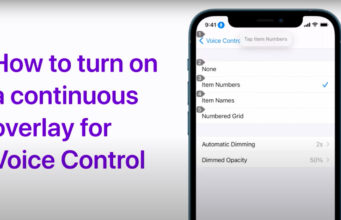 Apple návody – Voice Control – Jak zapnout překryvný obrázek na iPhonu a iPadu