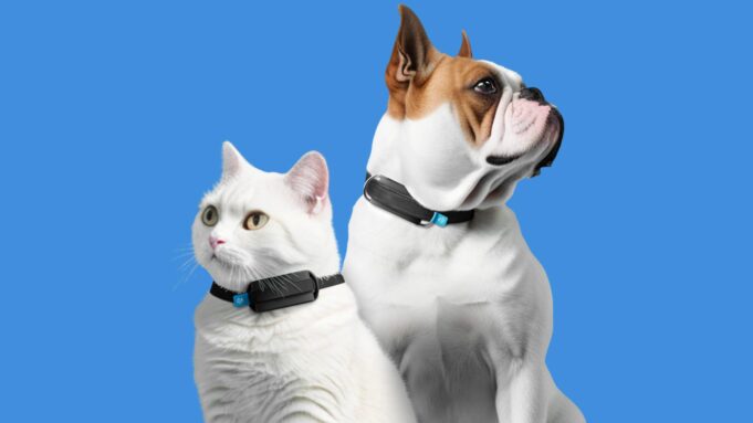 CES 2024 – Invoxia představila Minitailz Smart Pet Tracker, sledovací a zdravotní zařízení pro domácí mazlíčky